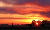 Western Victorian Sunrise